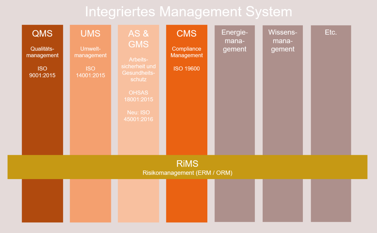 Systemischer Ansatz „Integriertes Management System"